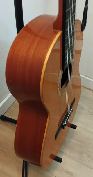 Guitarra Vintage Ritmo