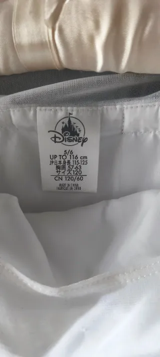 Disfraz Elsa Frozen 2 Talla 5/6