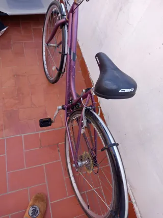 Bicicleta de paseo morada