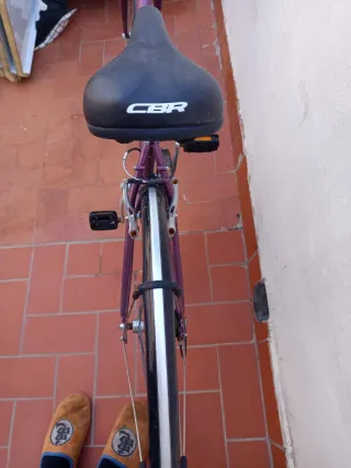 Bicicleta de paseo morada