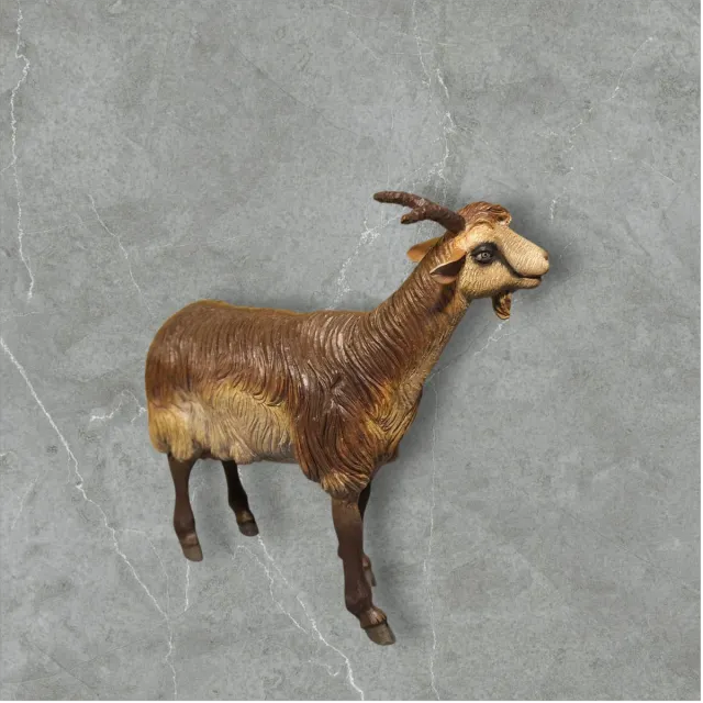 Capra Caprone Pecora Animale Pastore x Presepe