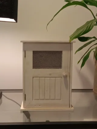 Decoración organizador