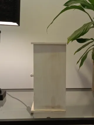 Decoración organizador