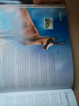 Libro Sellos España y Andorra 2015