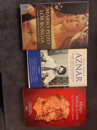 Lote de libros clásicos y novelas – buen estado