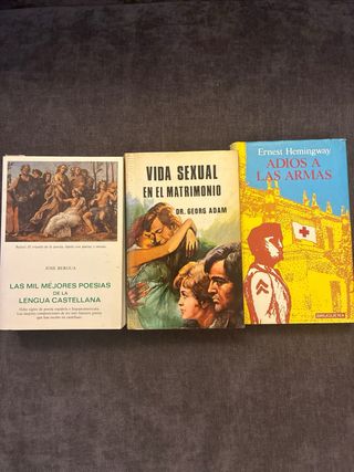 Lote de libros clásicos y novelas – buen estado