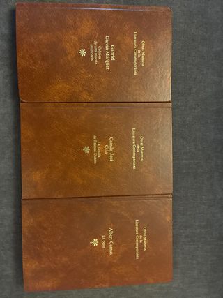 Lote de libros clásicos y novelas – buen estado