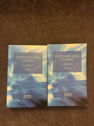 Lote de libros clásicos y novelas – buen estado