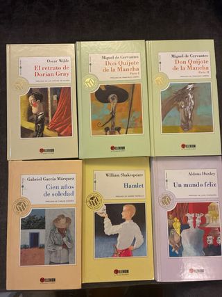 Lote de libros clásicos y novelas – buen estado