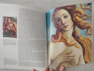 Libro sobre Botticelli