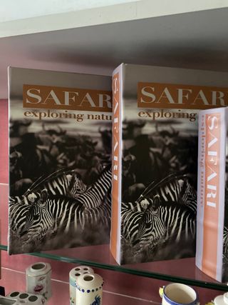 Cajas decorativas Safari Cebras