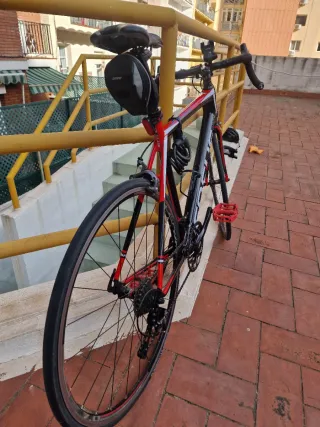 Bici Focus de Fibra de Carbono Full Equipe