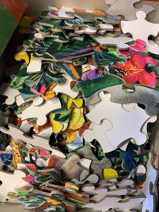 Puzzle 150 piezas Jaques London Selva