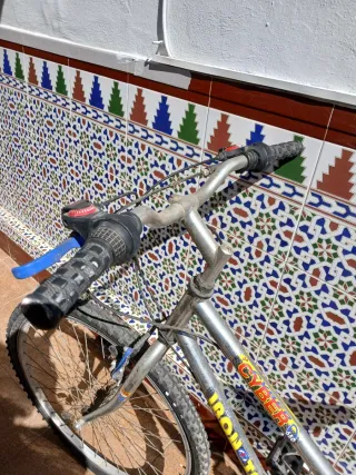 Bicicleta CYBER IRON 650