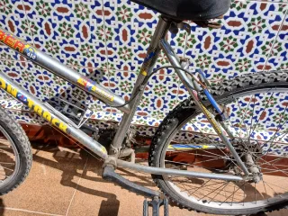 Bicicleta CYBER IRON 650