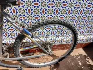 Bicicleta CYBER IRON 650