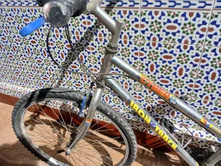 Bicicleta CYBER IRON 650