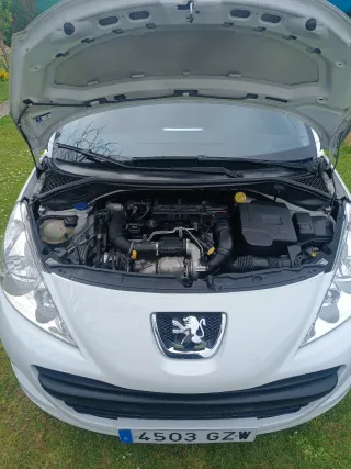 Peugeot 207 2010 1.4 HDI 70cv
