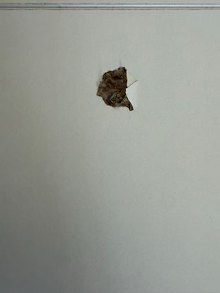 Mesa de comedor blanca de madera