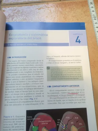 Ecografía musculoesqueletica