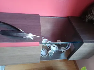 Muebles de salón madera y cristal