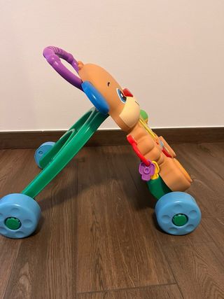 Primi Passi Fisher-Price Cagnolino