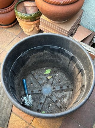 Macetero grande negro de plástico