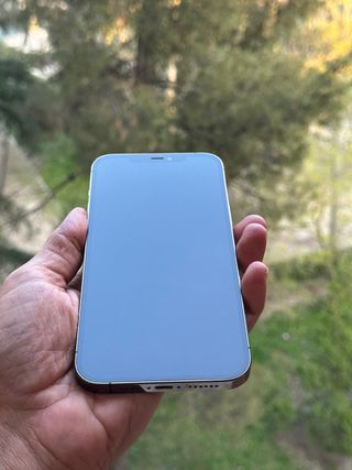 iPhone 12 Pro Max 128Gb IGUAL A NUEVO