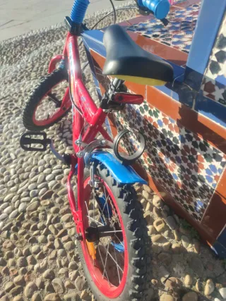 Bicicleta Infantil 14