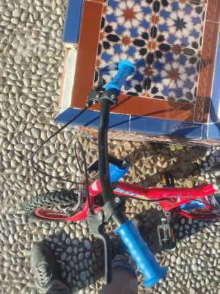 Bicicleta Infantil 14