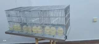 Jaula cría pájaros 3 departamentos