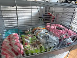 Jaula grande para hámster sirio o similar