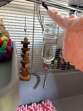 Jaula grande para hámster sirio o similar