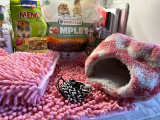 Jaula grande para hámster sirio o similar