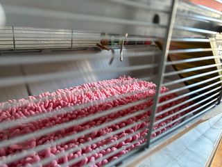 Jaula grande para hámster sirio o similar