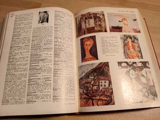 Libro Petit Larousse Illustré edizione in francese