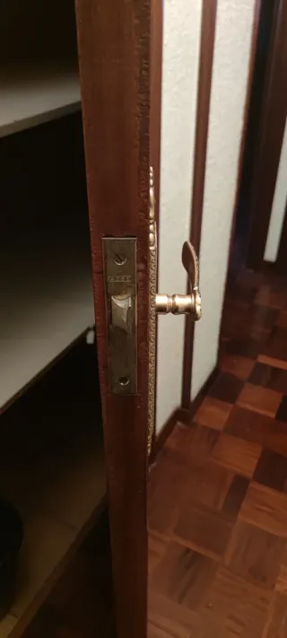 Puerta de madera oscura con manilla dorada 62 cm