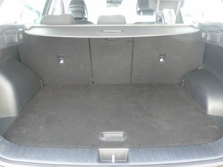 Kia Sportage 1.6T-GDI MHEV 110KW 150CV DRIVE