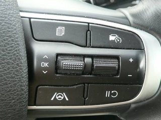 Kia Sportage 1.6T-GDI MHEV 110KW 150CV DRIVE