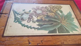 Quadro su tavola Botanica di legno Fiore Antico