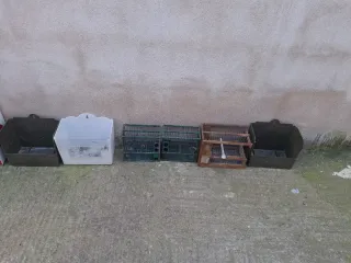 Gabbie e armadietti per canarini