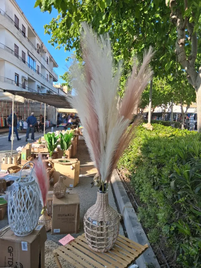 Jarrón de cristal y cuerda mas 3 plumas 20€