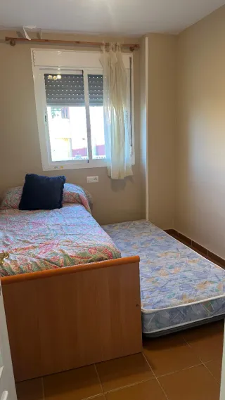 Cama nido de madera