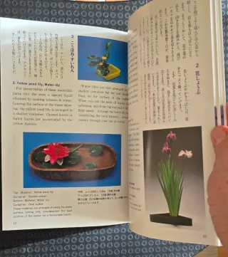 Libro texto 1r grado Ikebana Sogetsu