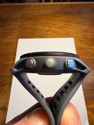 Garmin Forerunner 255 Gris