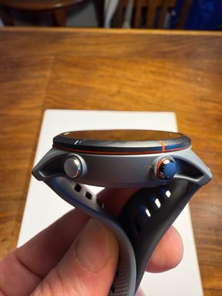 Garmin Forerunner 255 Gris