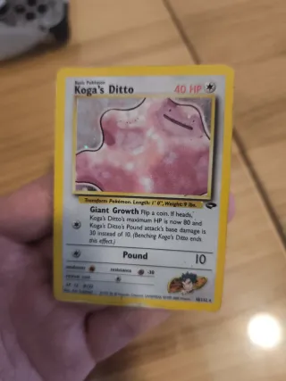 Koga's Ditto Pokémon 10/132 Gym Challenge