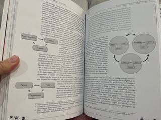 El mundo invisible de Hayao Miyazaki