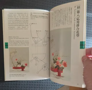 Libro texto 2º grado Ikebana Sogetsu