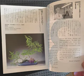 Libro texto 3r grado Ikebana Sogetsu